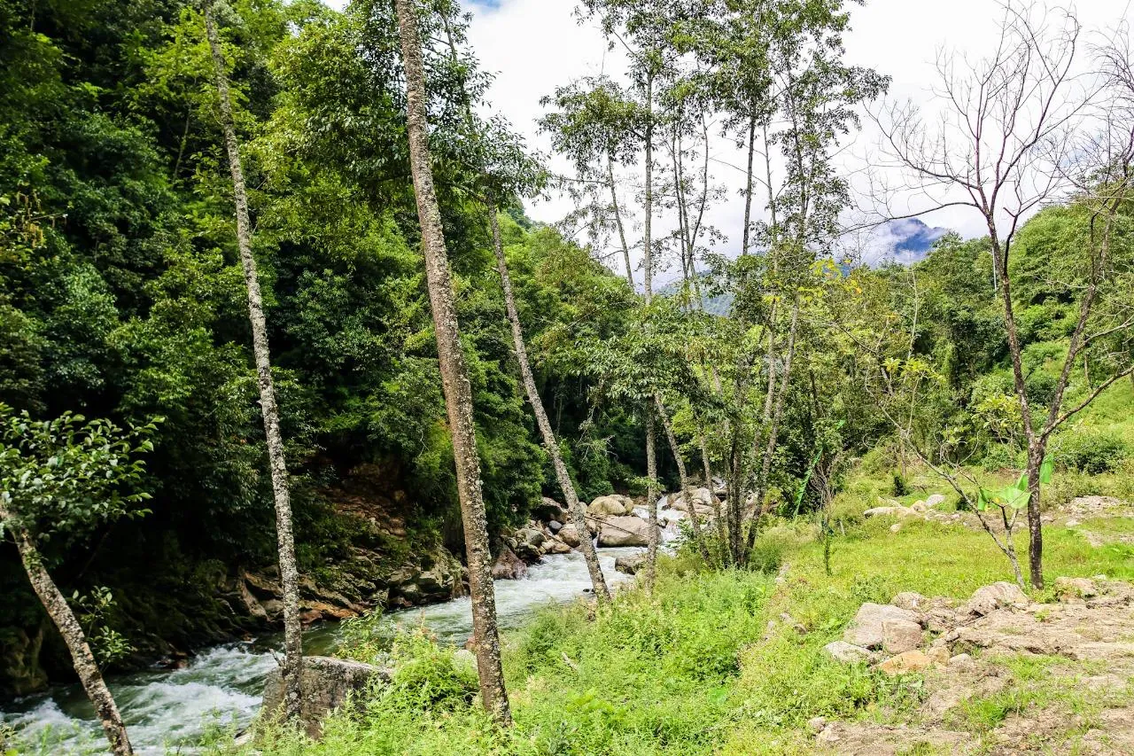 Deluxe room at TenzinNora Homestay Dirang